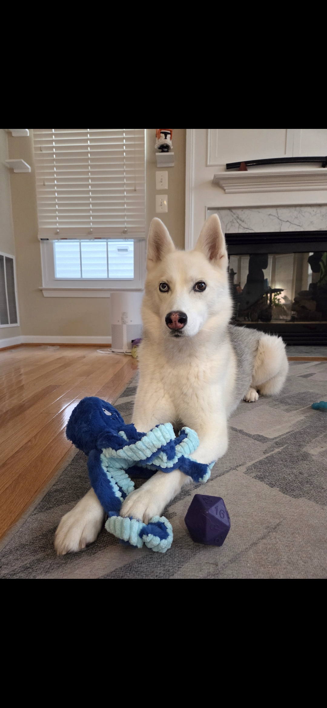 user avatar image for Erin Dwyer Sears