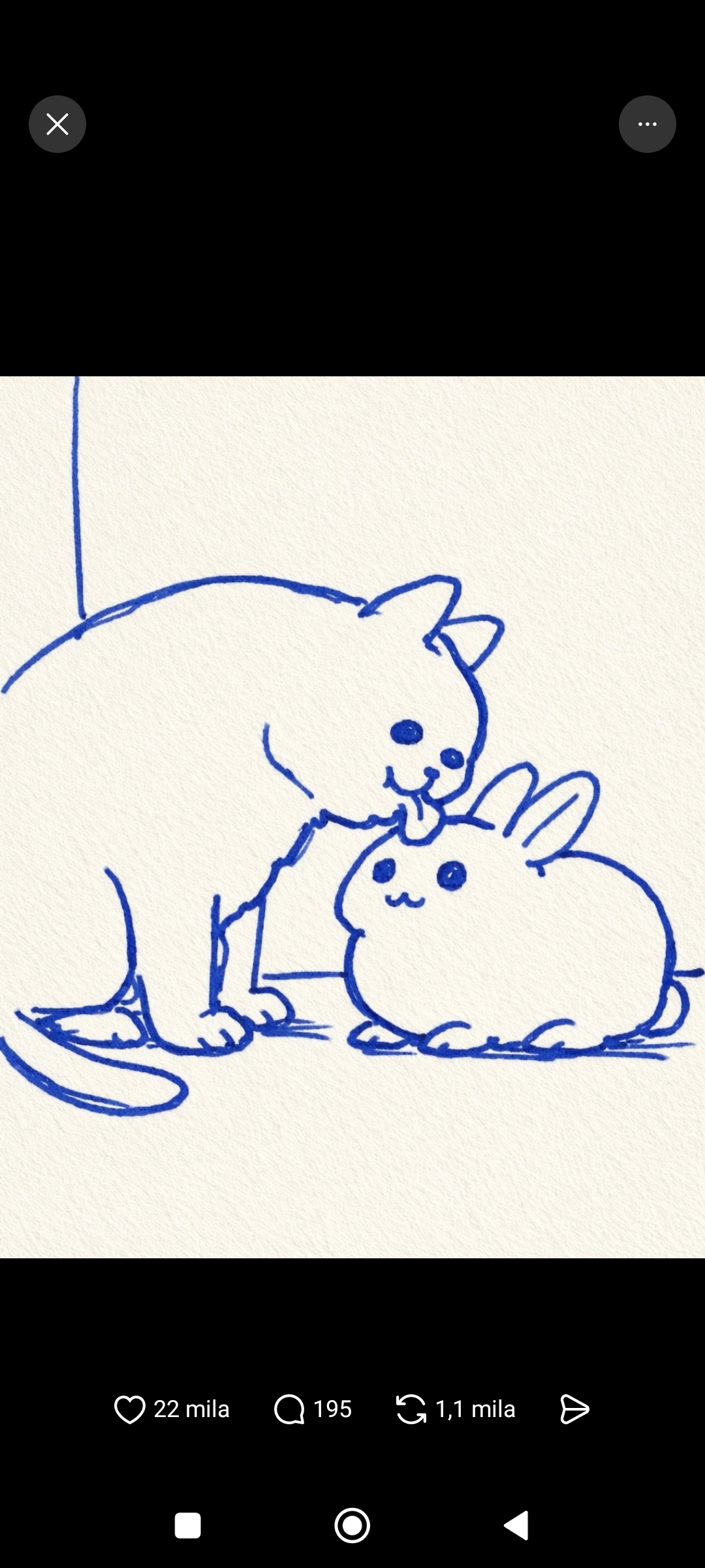 user avatar image for Kewpie