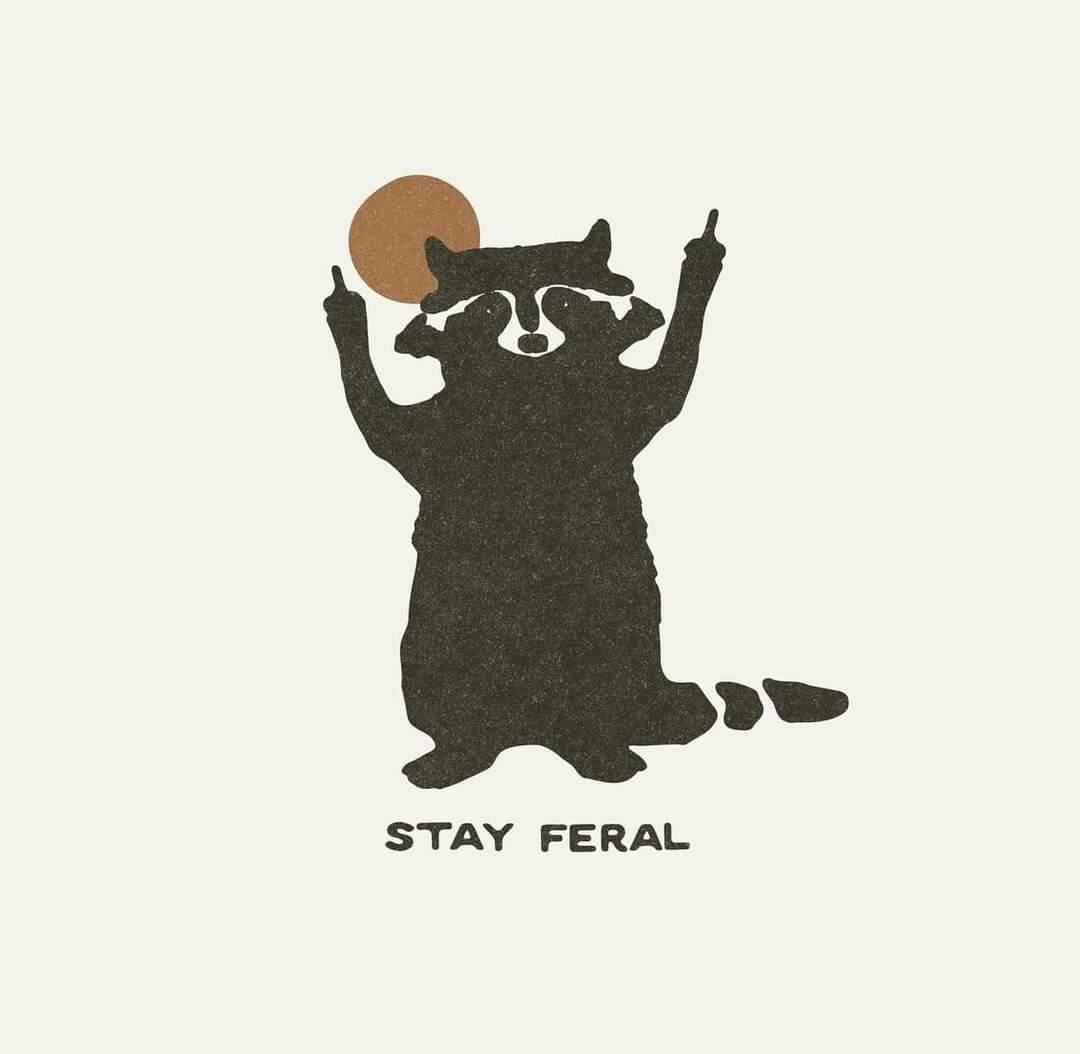 user avatar image for Daniel Casey O'Donovan