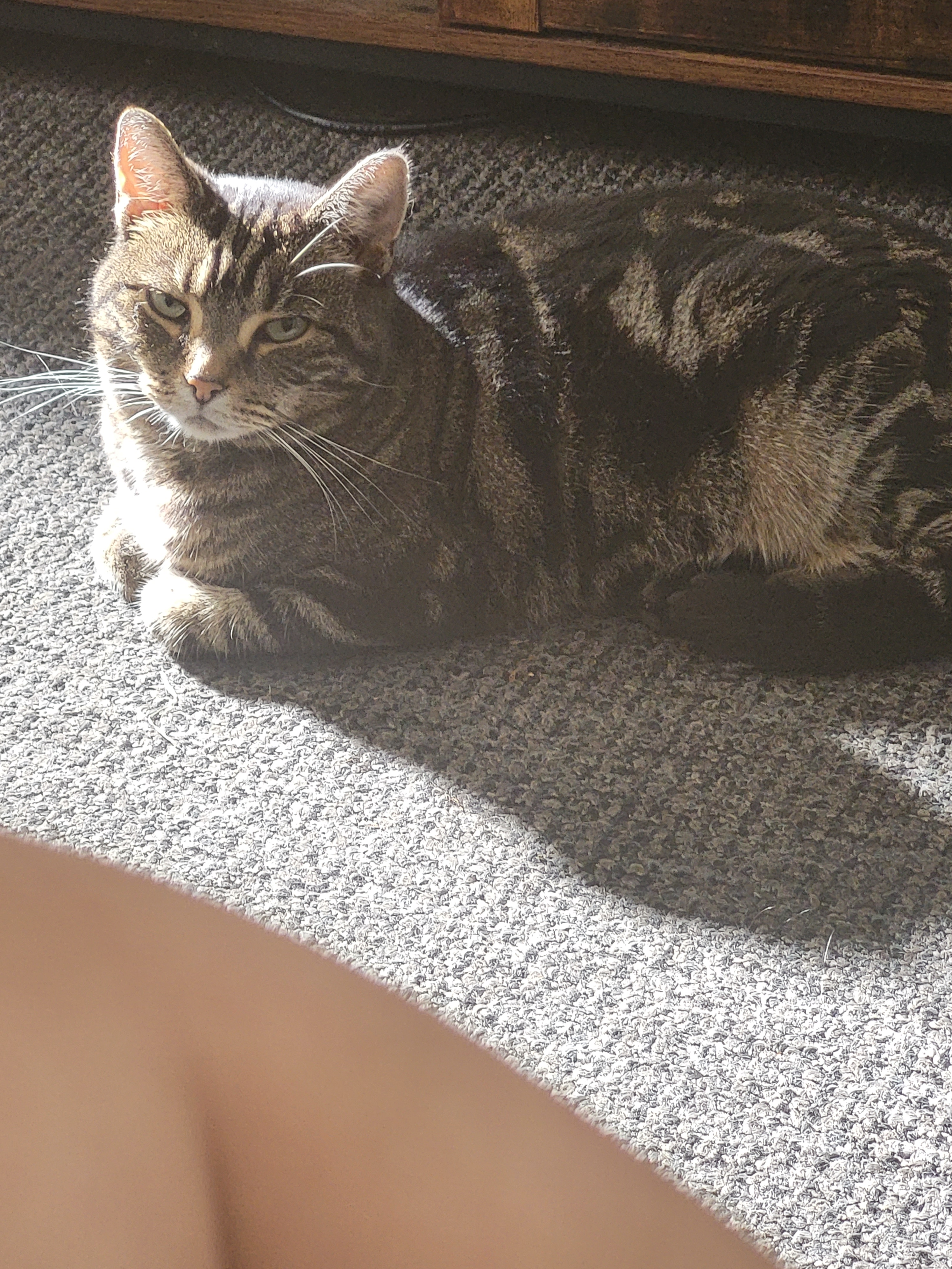 user avatar image for Bev