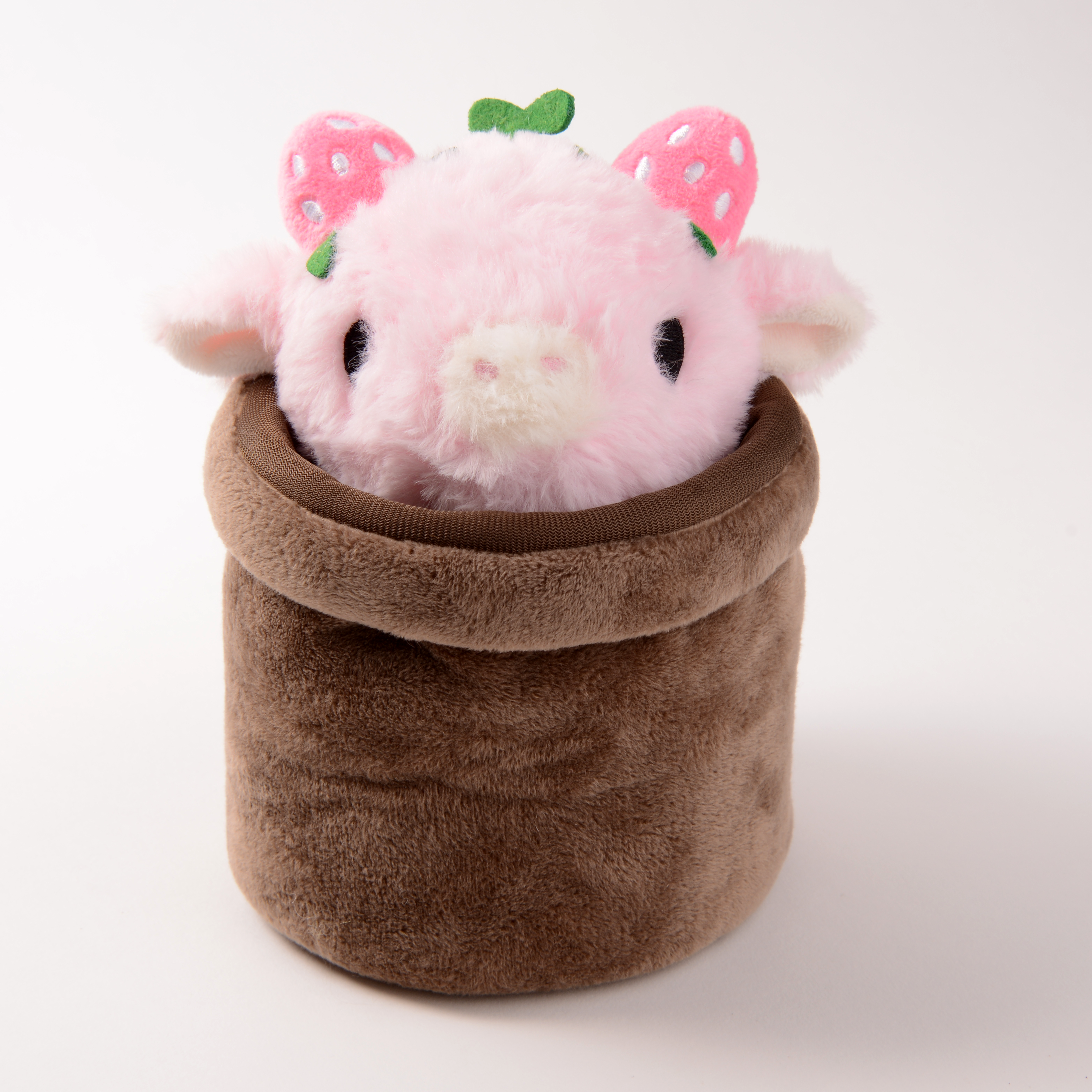 Strawberry Cow