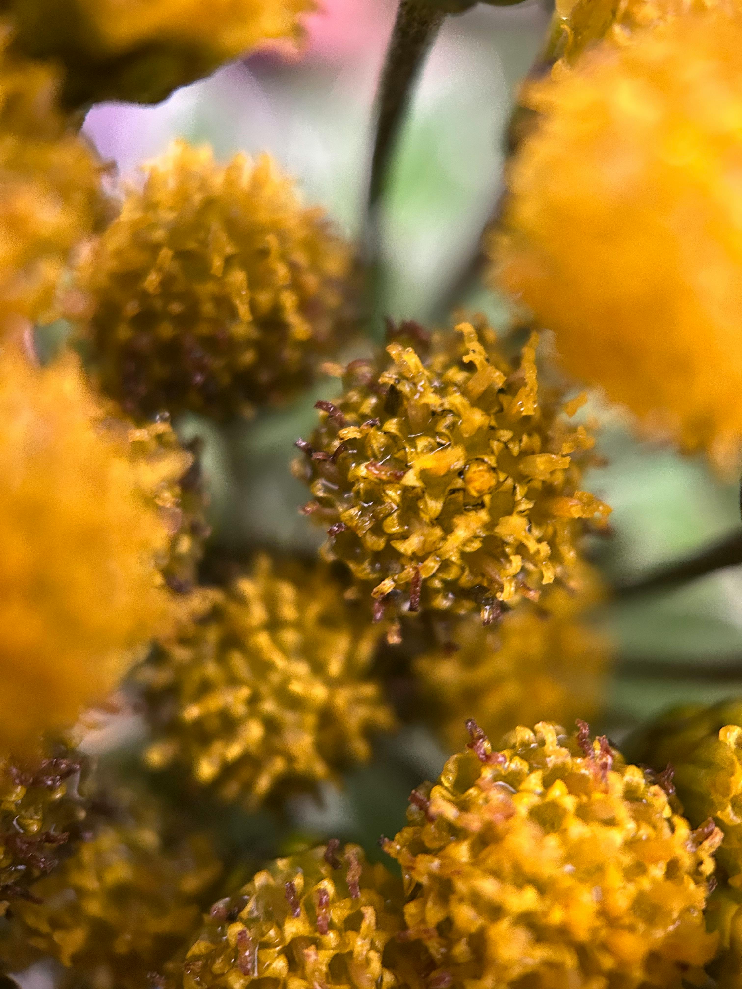 user avatar image for Joel Thorne