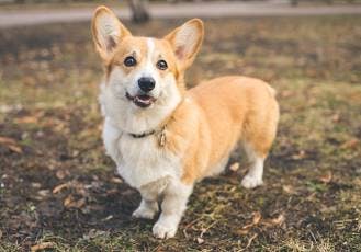 user avatar image for Tsara