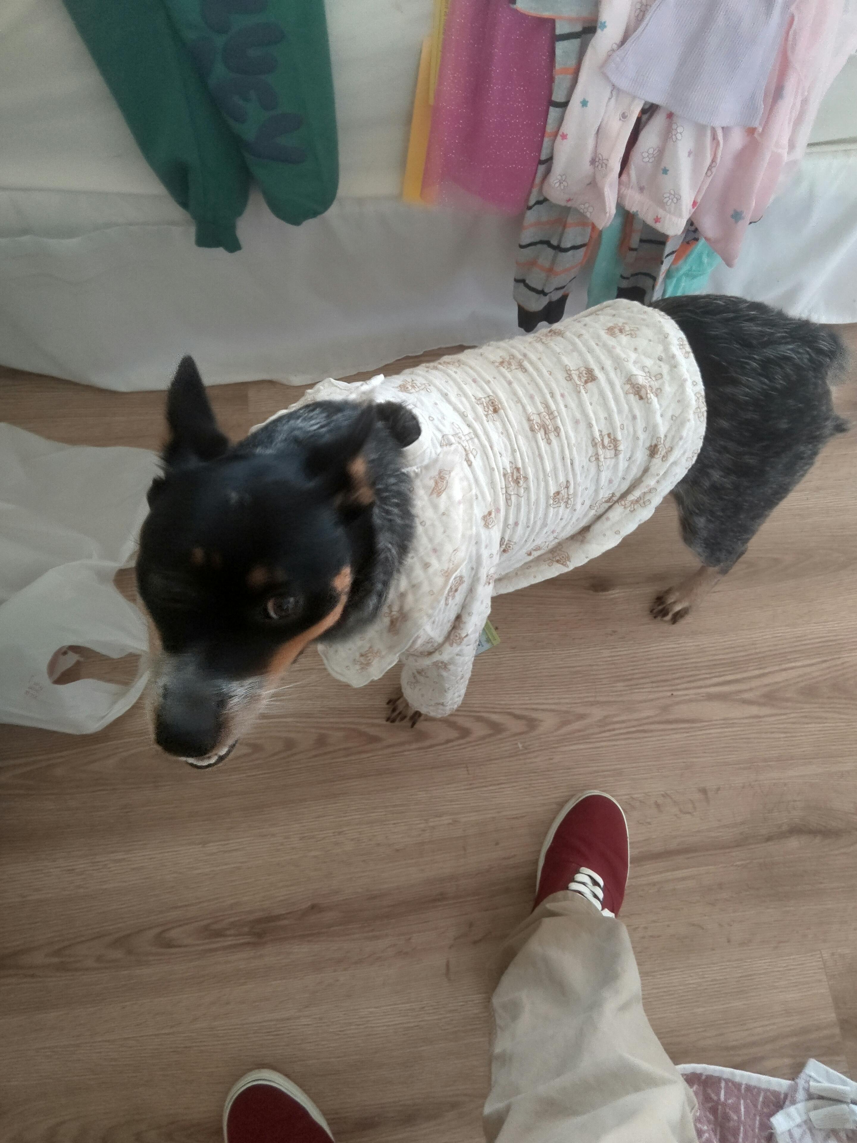 user avatar image for Um Pearl