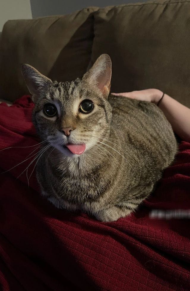 user avatar image for Harrison 