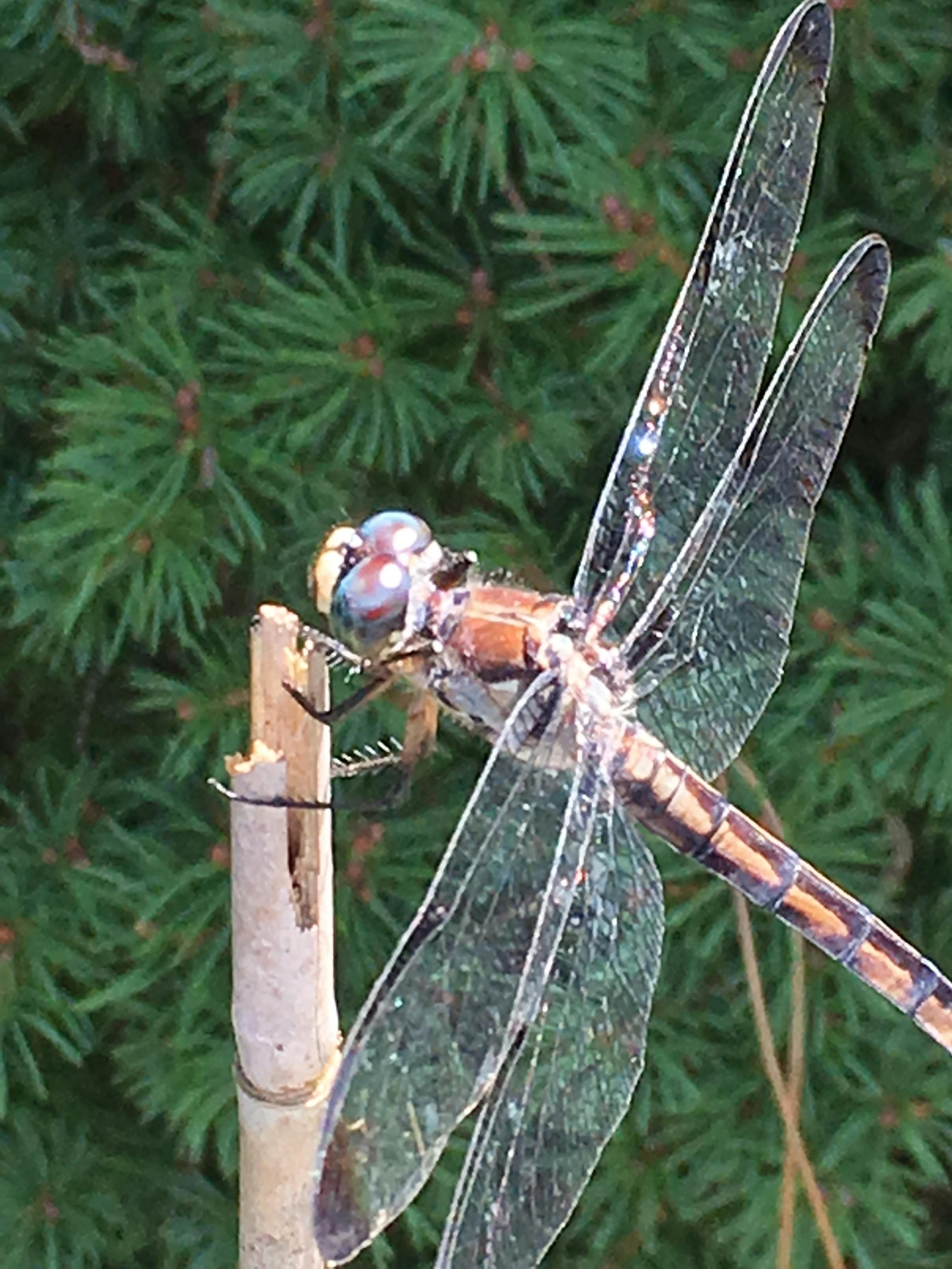 user avatar image for Kristin Mayo