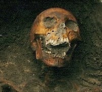 user avatar image for Cistern