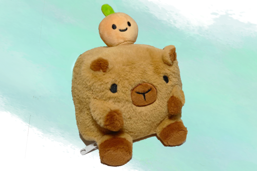 Plush Capybara Bag NO strap