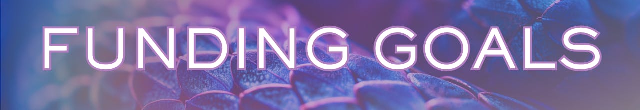  Text: Funding Goals on a blue and purple gradient overlay over a picture showing scales 