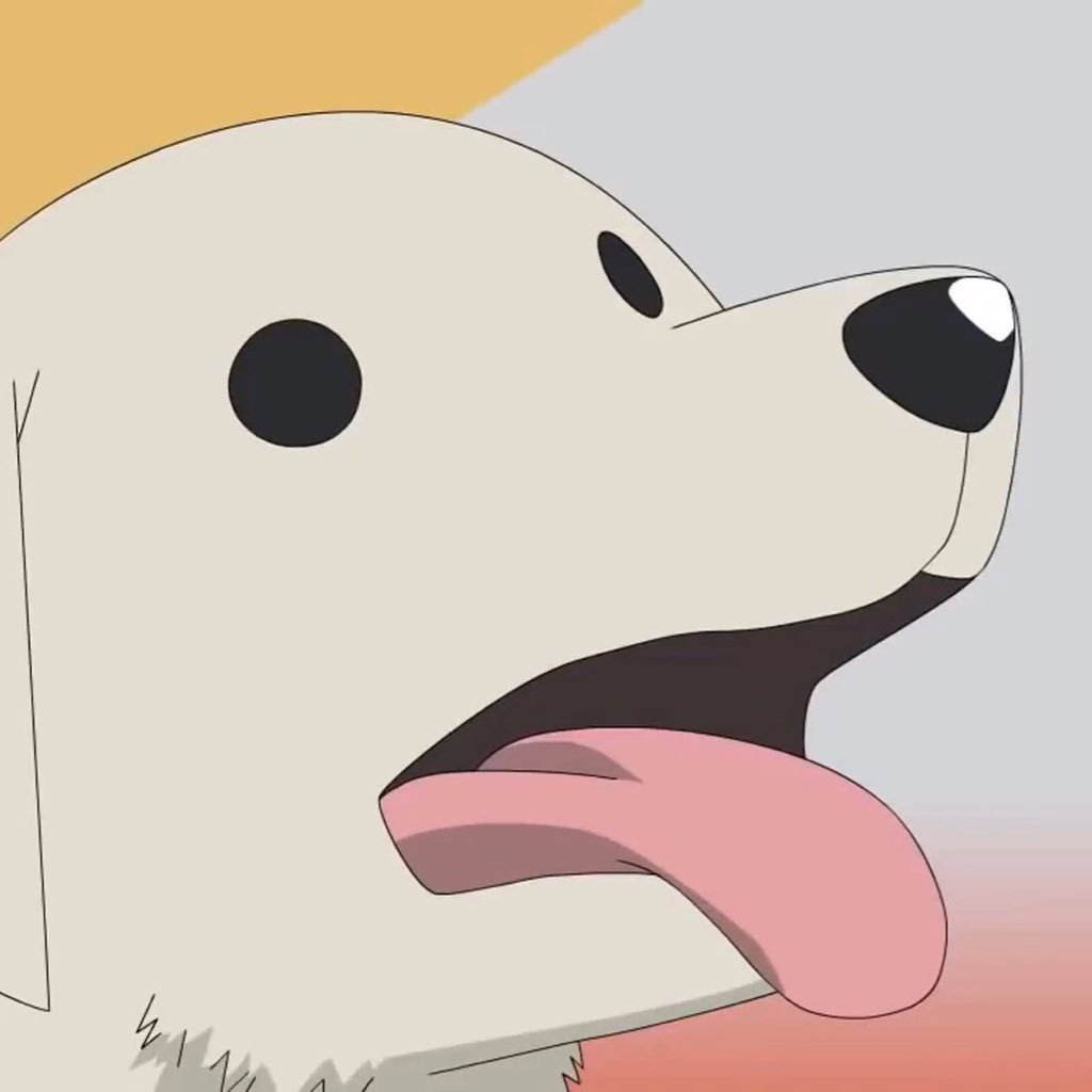 user avatar image for devtesla