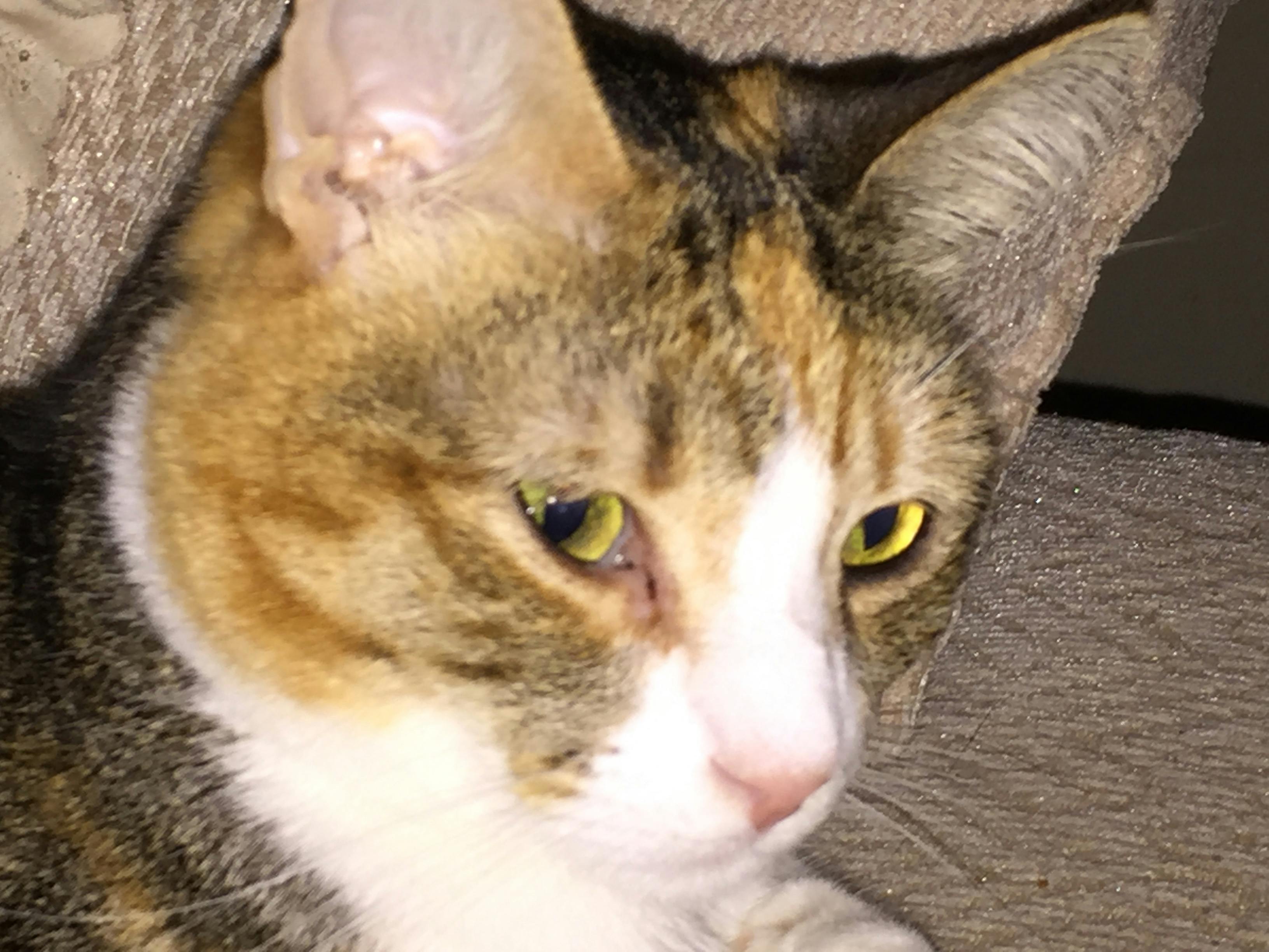 user avatar image for Lori