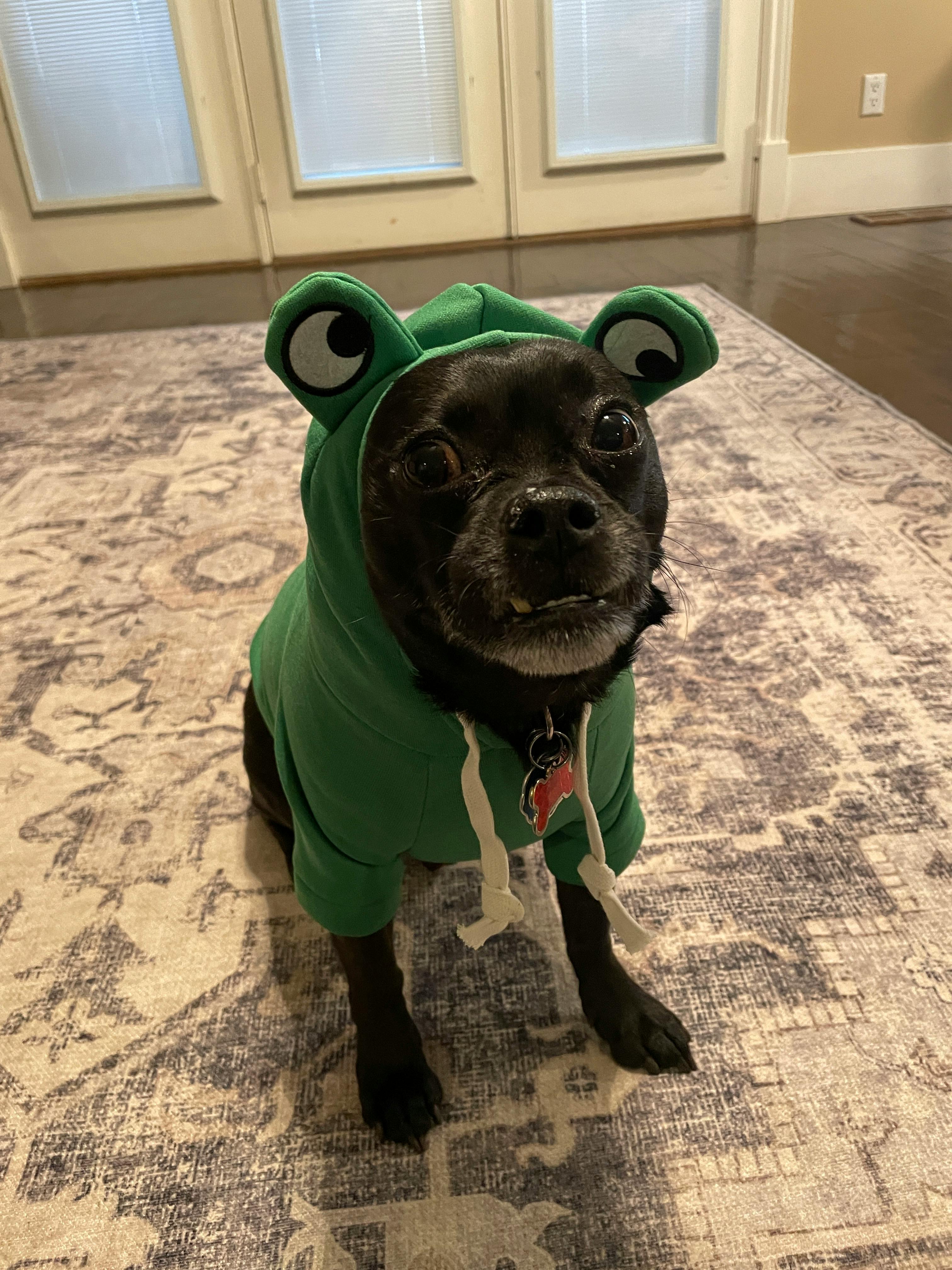 user avatar image for Tomasina