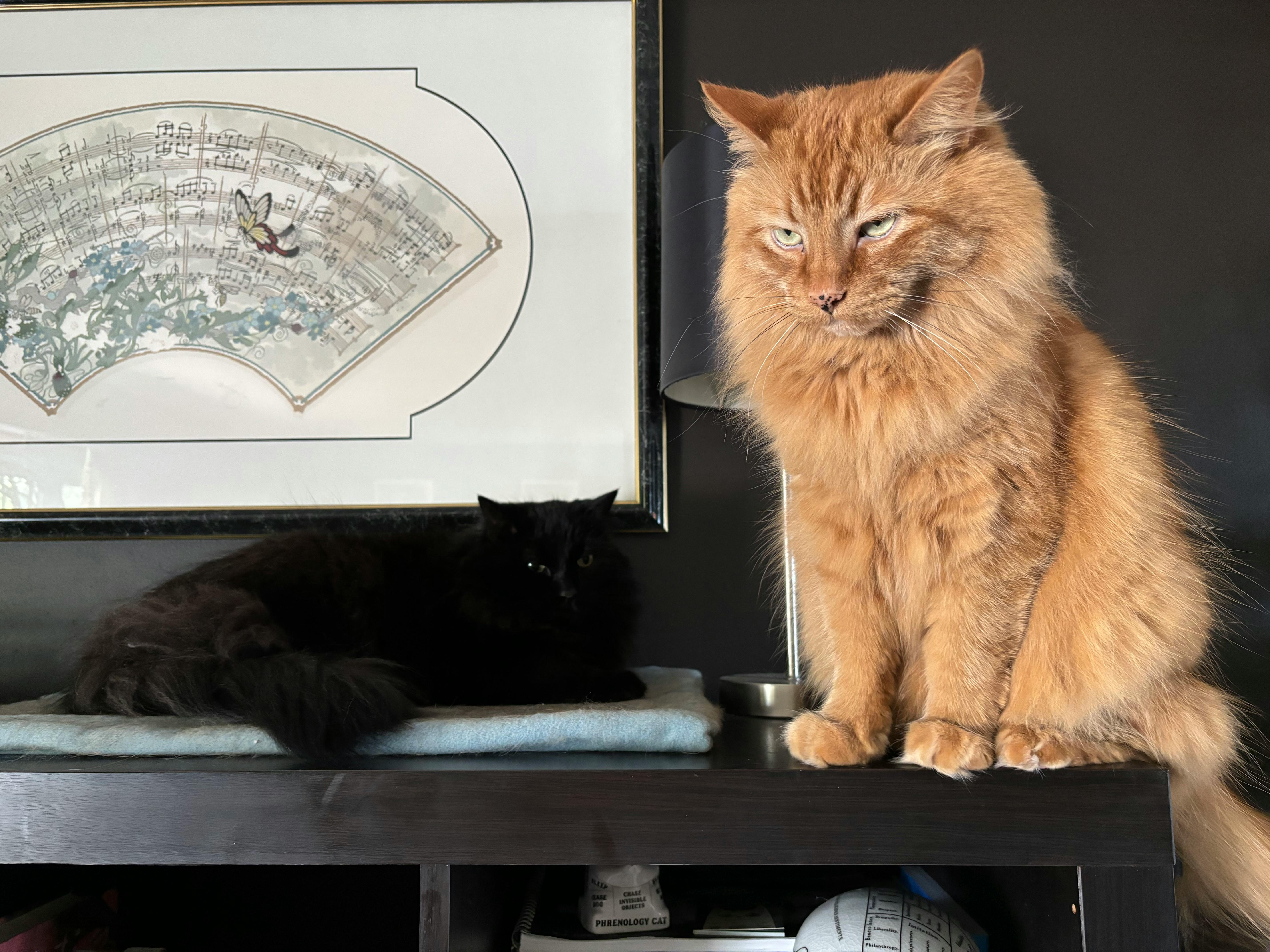 user avatar image for Templeton