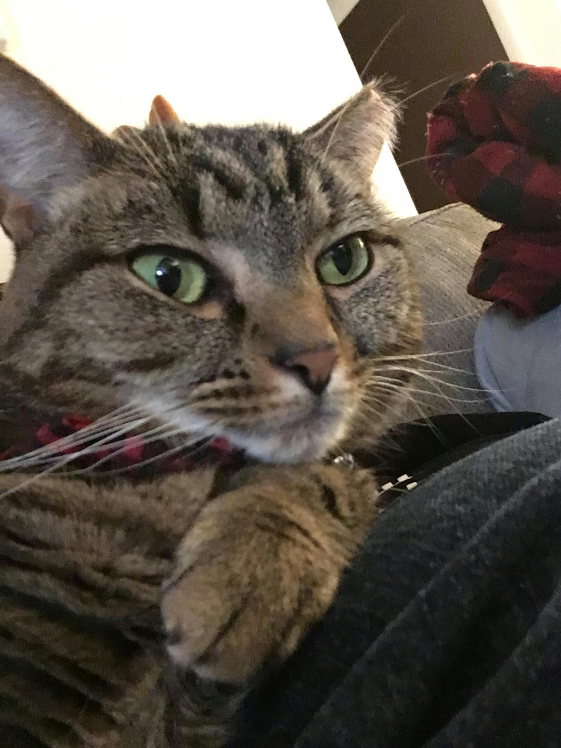 user avatar image for Ninbi