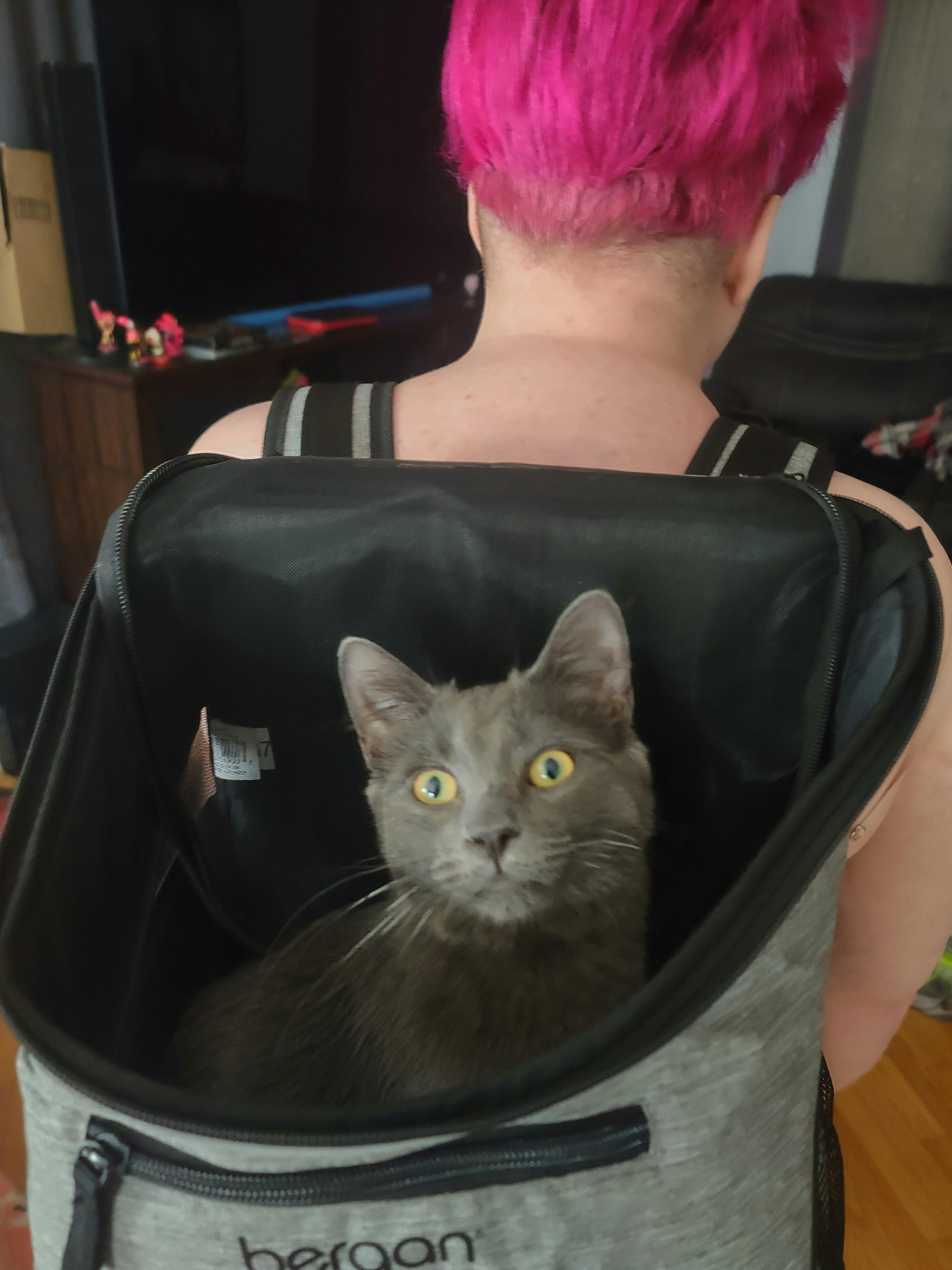 user avatar image for Alexandra 