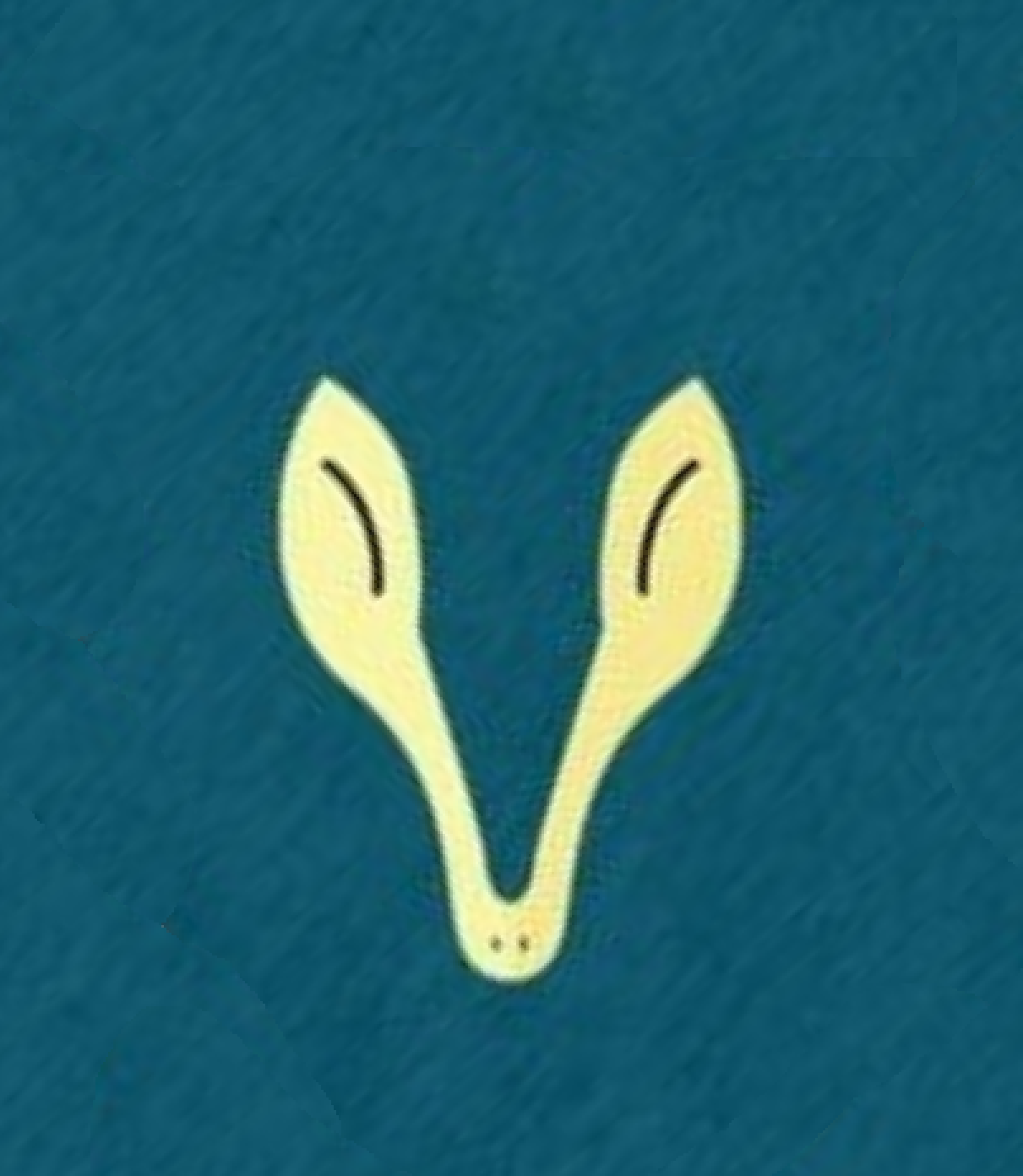 user avatar image for Schumeister