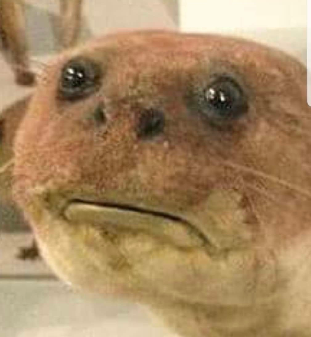 user avatar image for Fazza