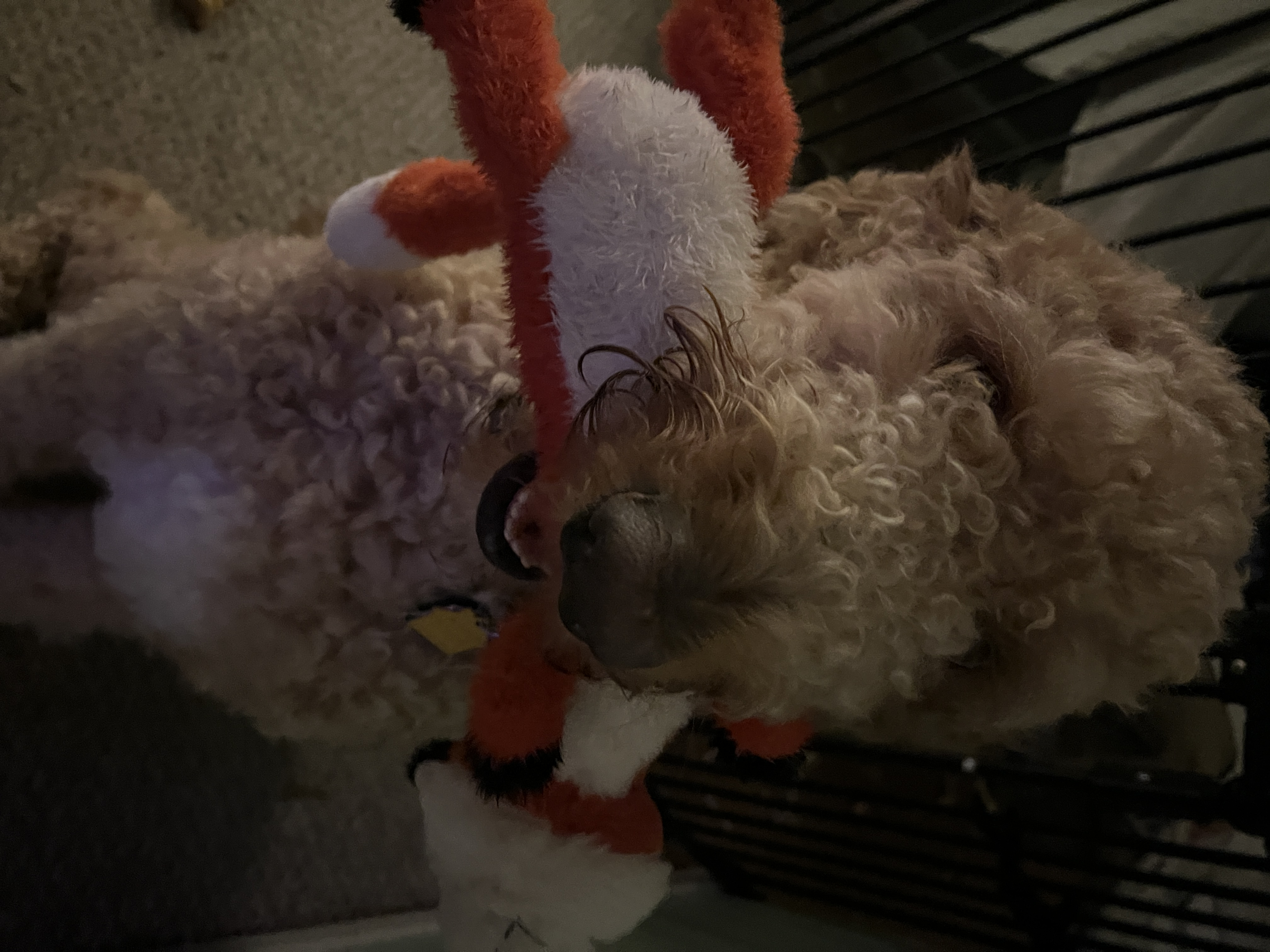 user avatar image for Sam Ramer