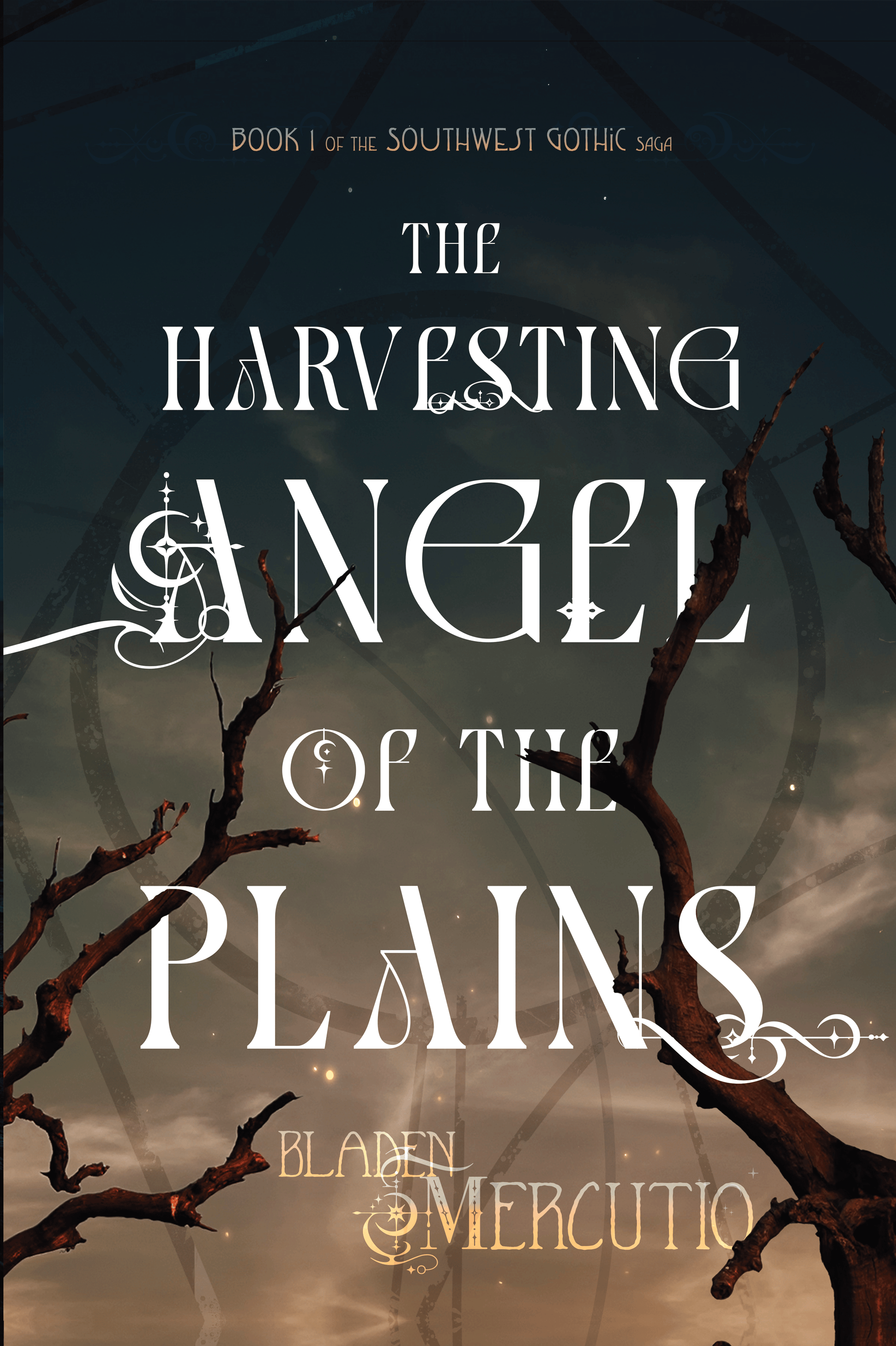 Book 1 Paperback Edition