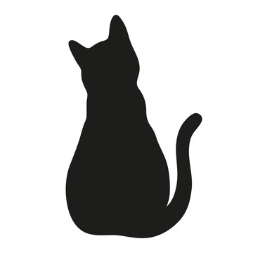 user avatar image for Curious Company