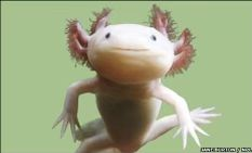 user avatar image for Sharkey