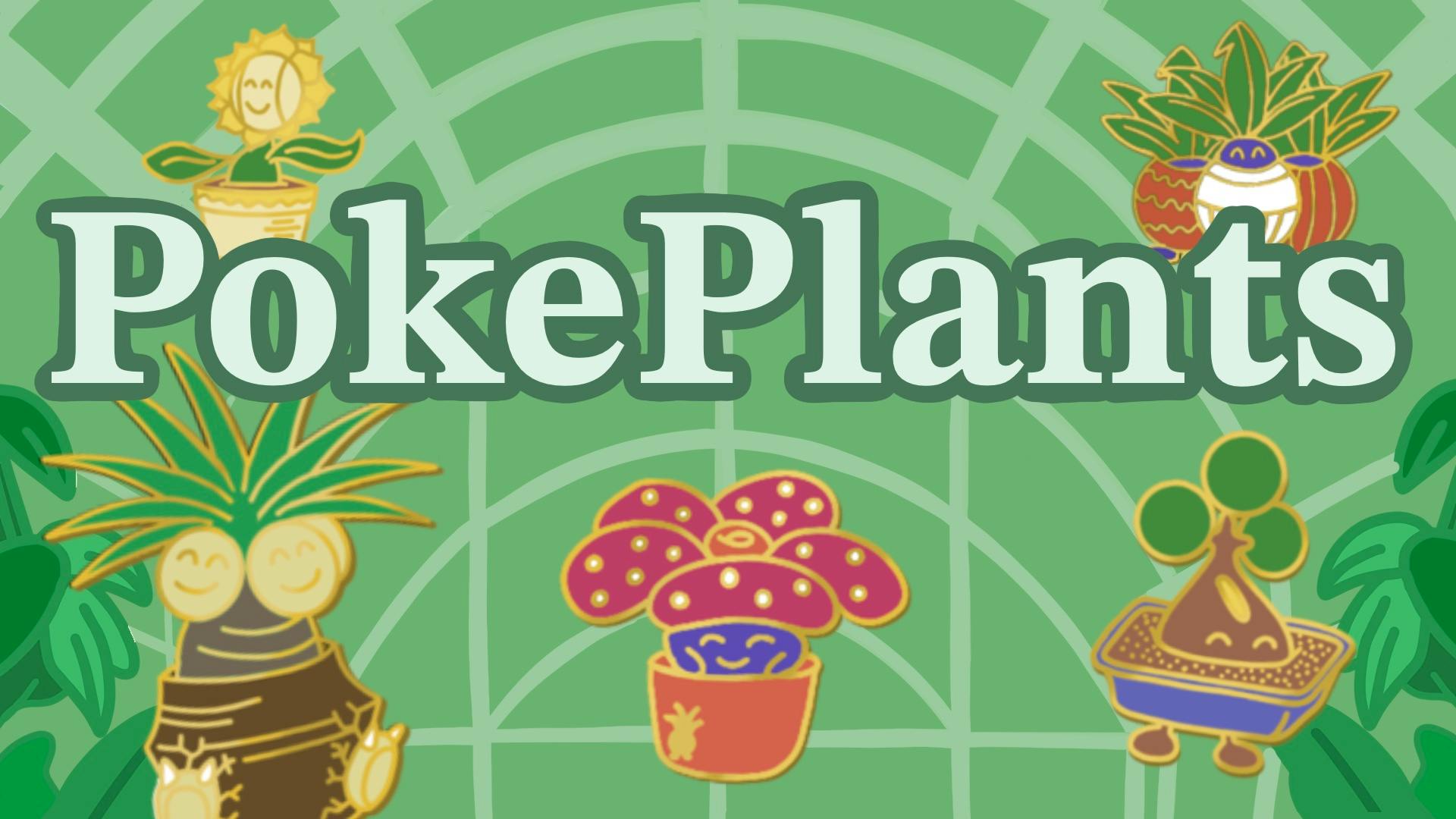 Four plant pots 🪴