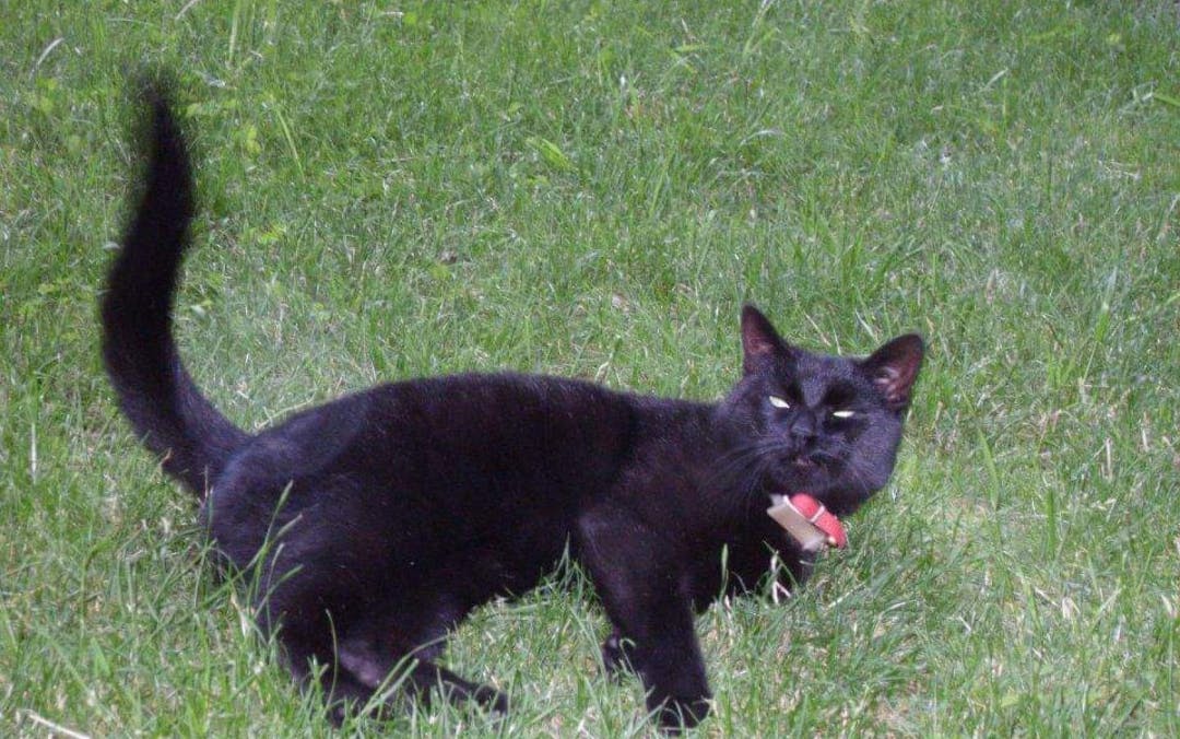 user avatar image for Florence Mooney