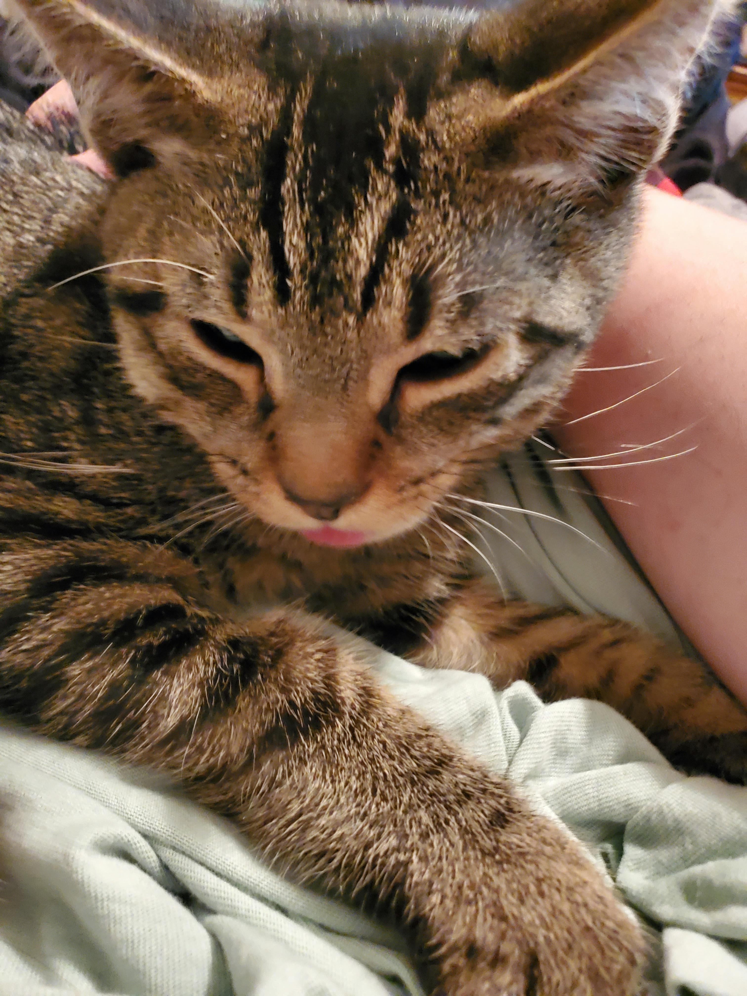 user avatar image for Bee