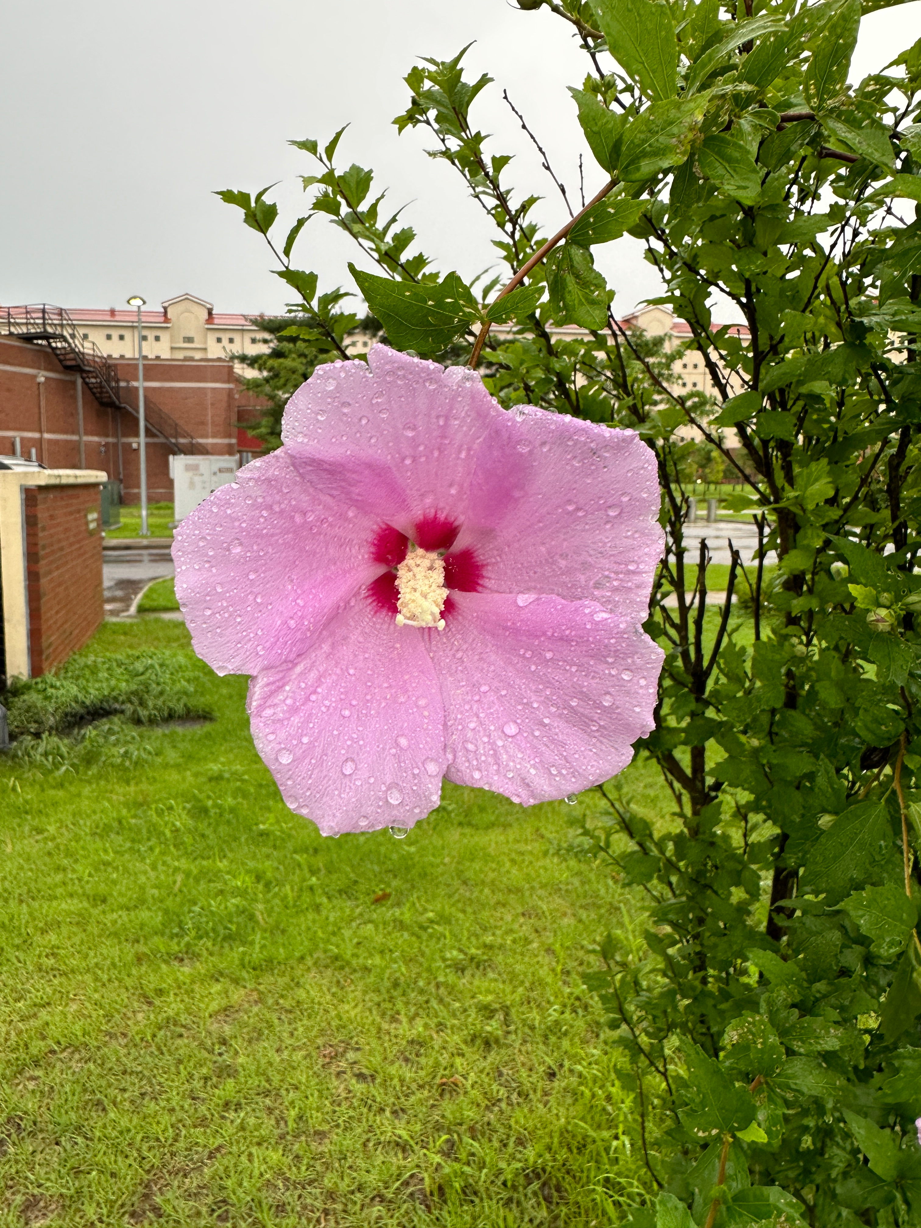 user avatar image for DomSal98