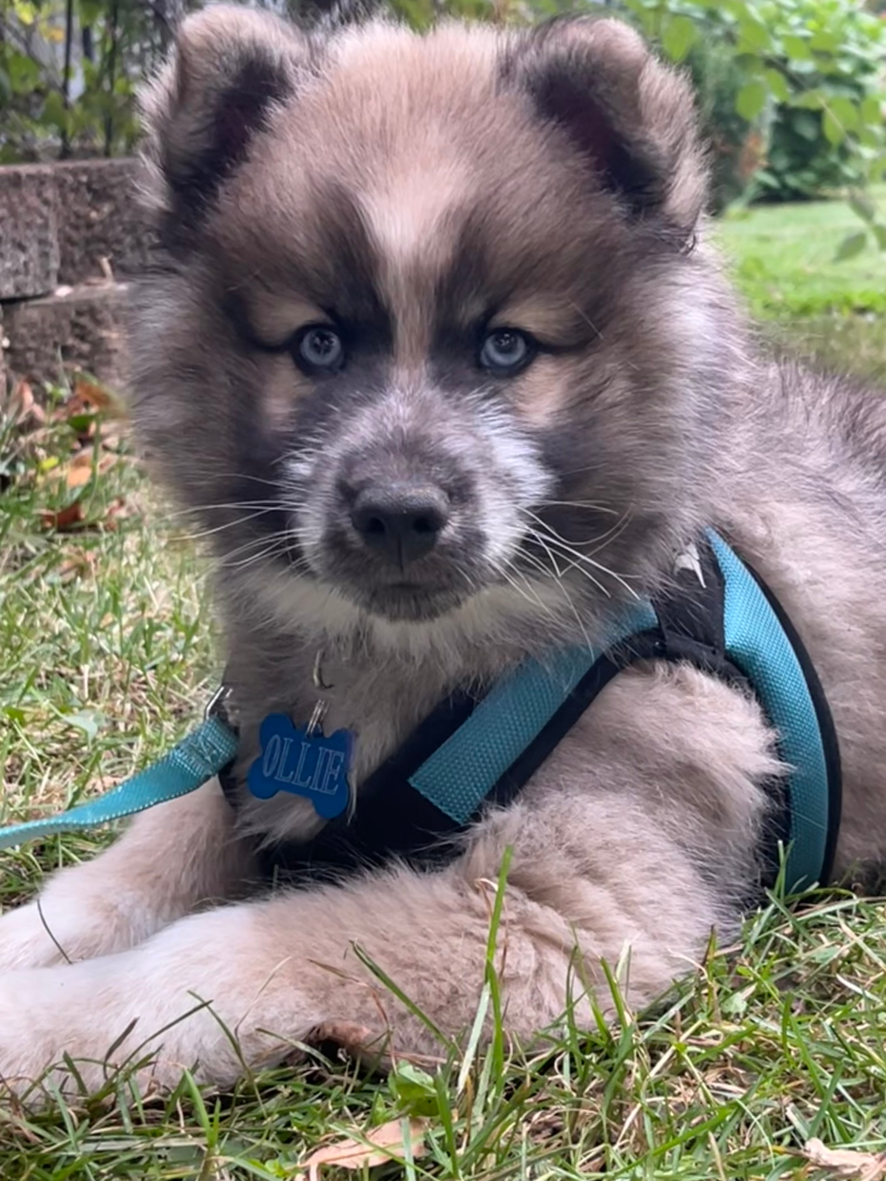 user avatar image for Bubbles_the_asgardian