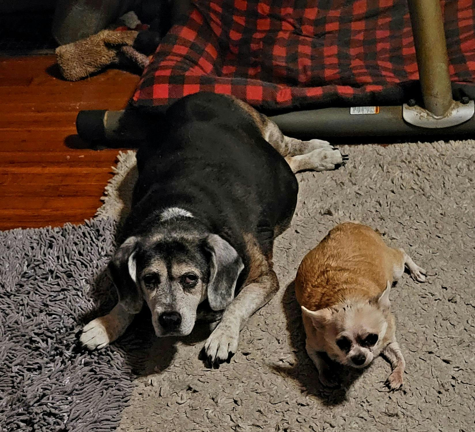 user avatar image for Lawrence Bell