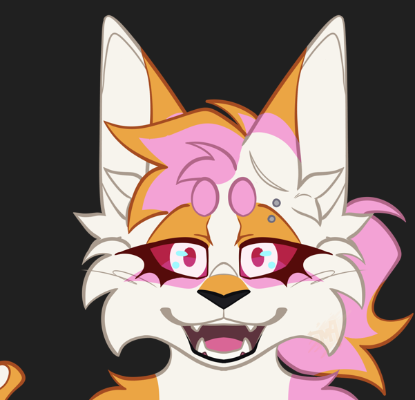 user avatar image for Sylvie