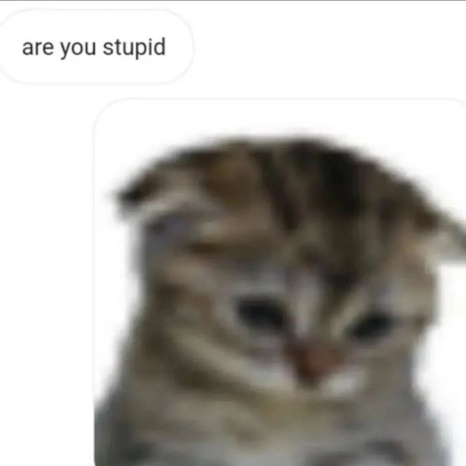 user avatar image for Virgil 