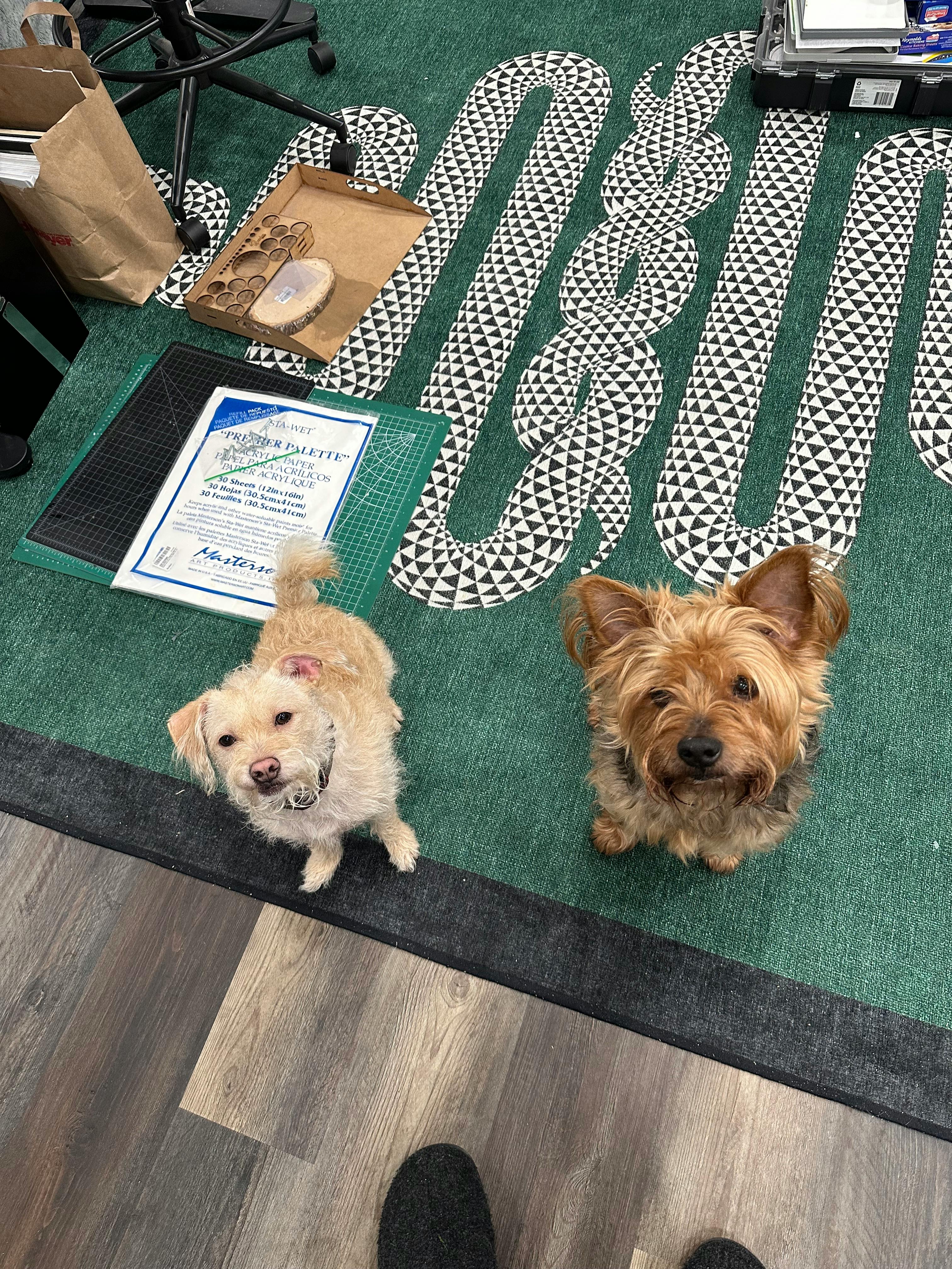 user avatar image for Gregory Gregory