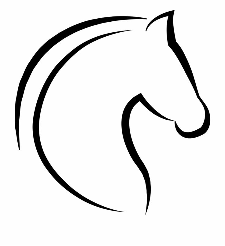 user avatar image for VinceMB