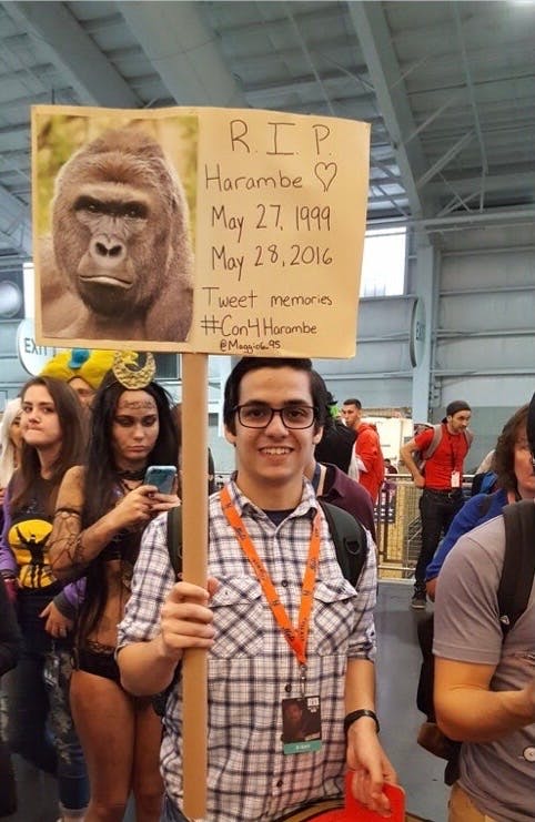 user avatar image for MatthewFrank Maggio