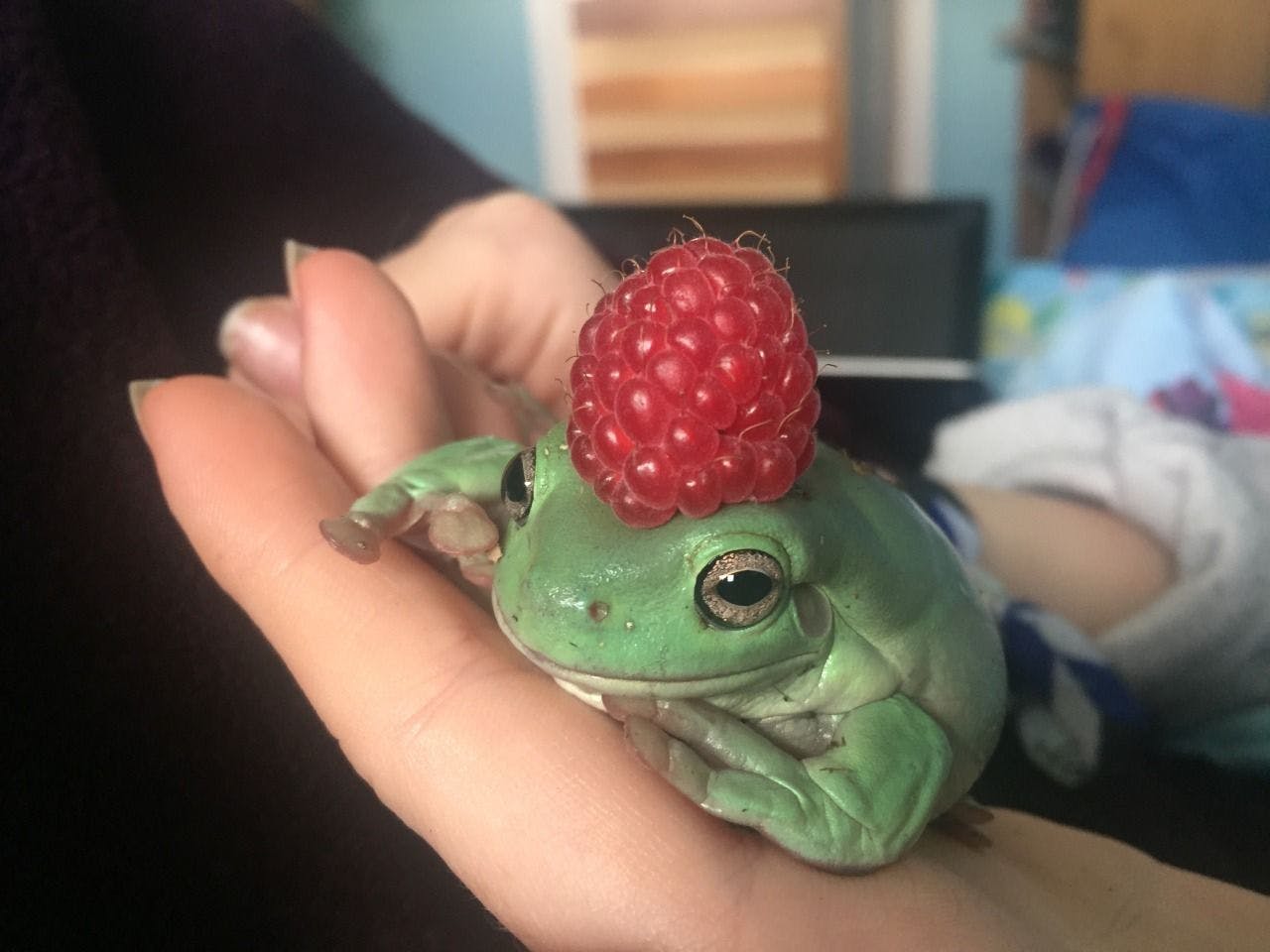 user avatar image for Meg Wheaton