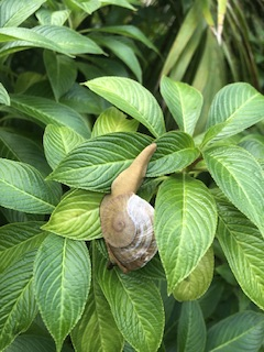 user avatar image for Andrew Hill