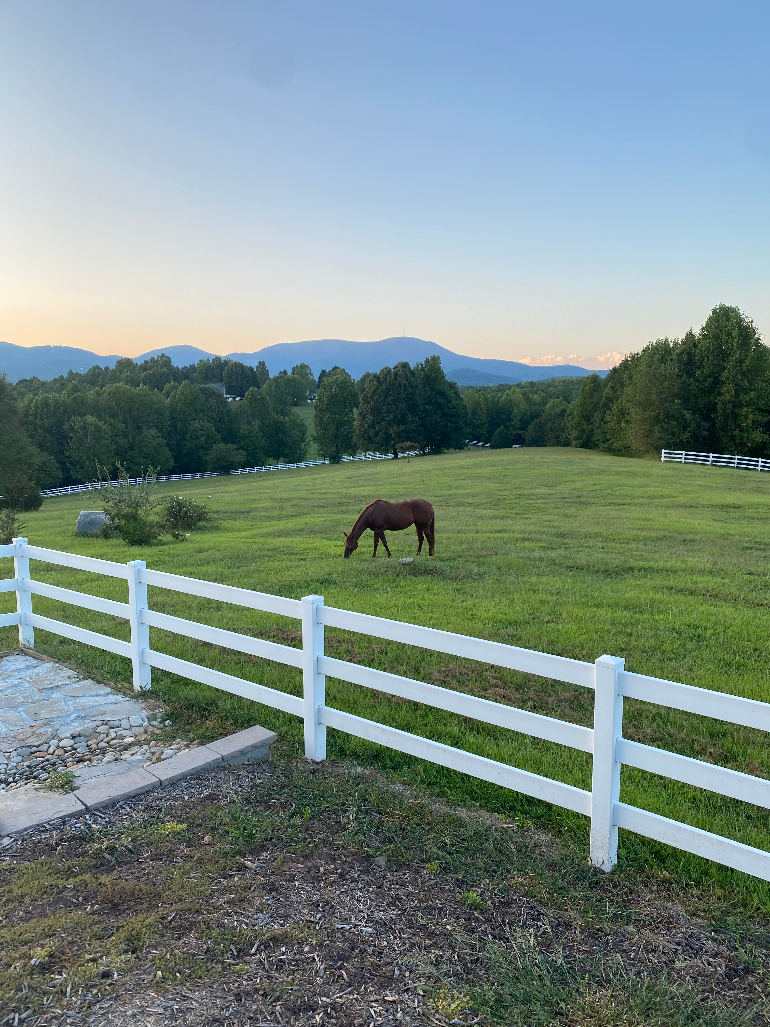 user avatar image for Graham