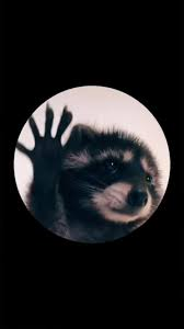 user avatar image for Pablo