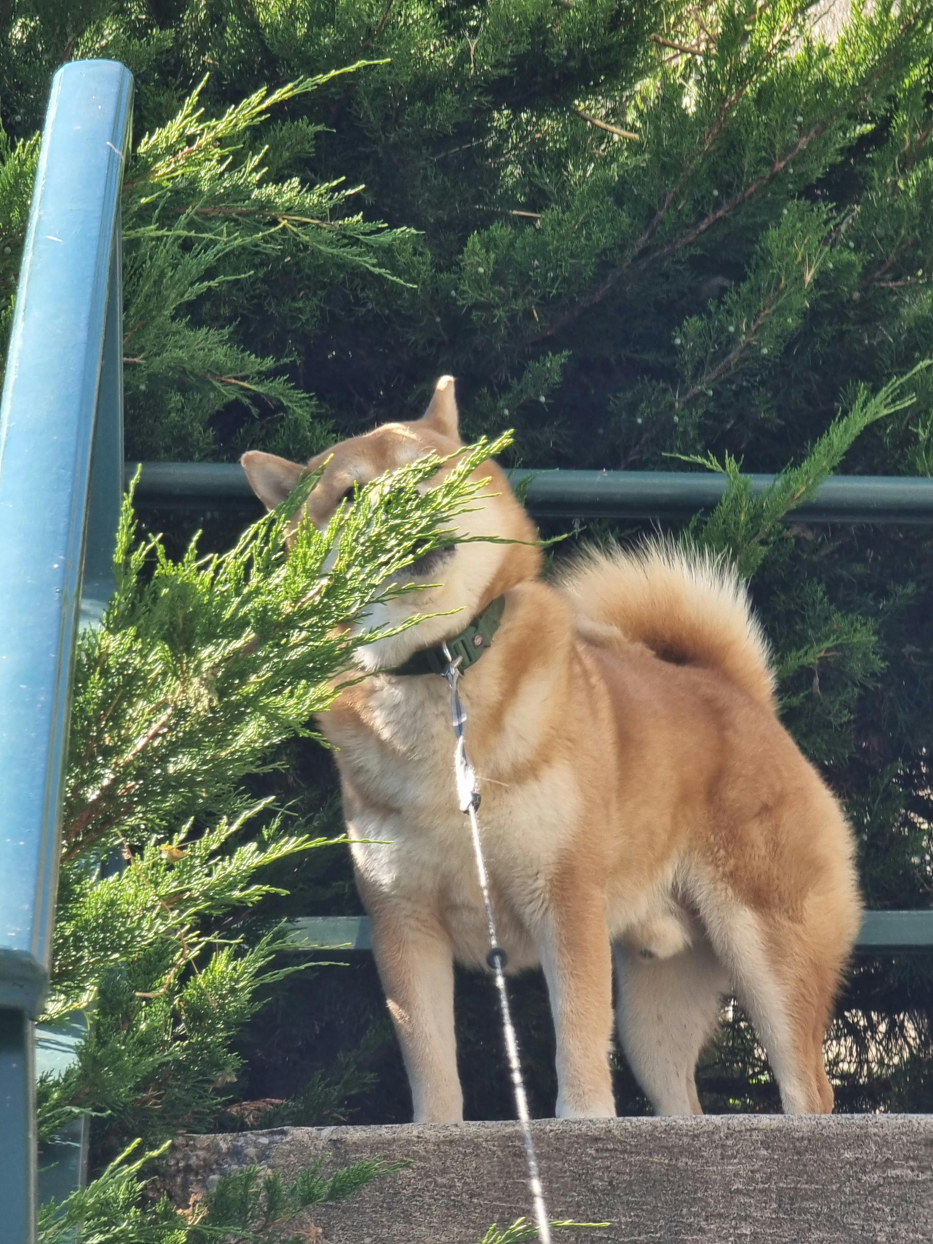 user avatar image for Atmos