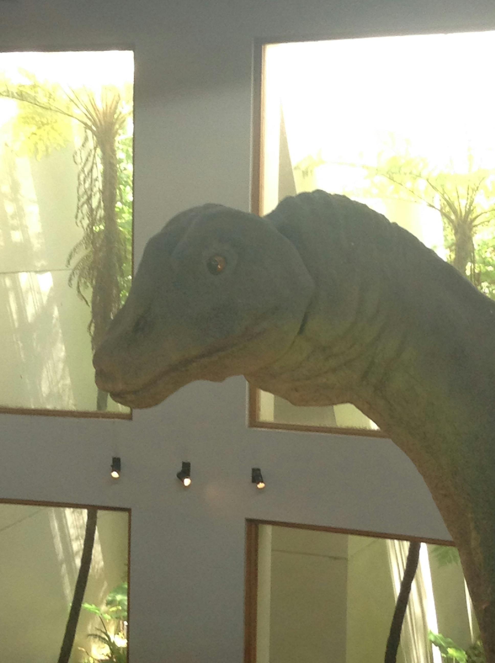 user avatar image for Erica