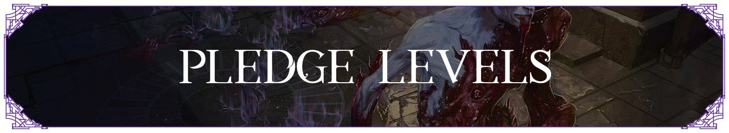 Pledge Levels