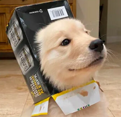 user avatar image for Patrick A Priest