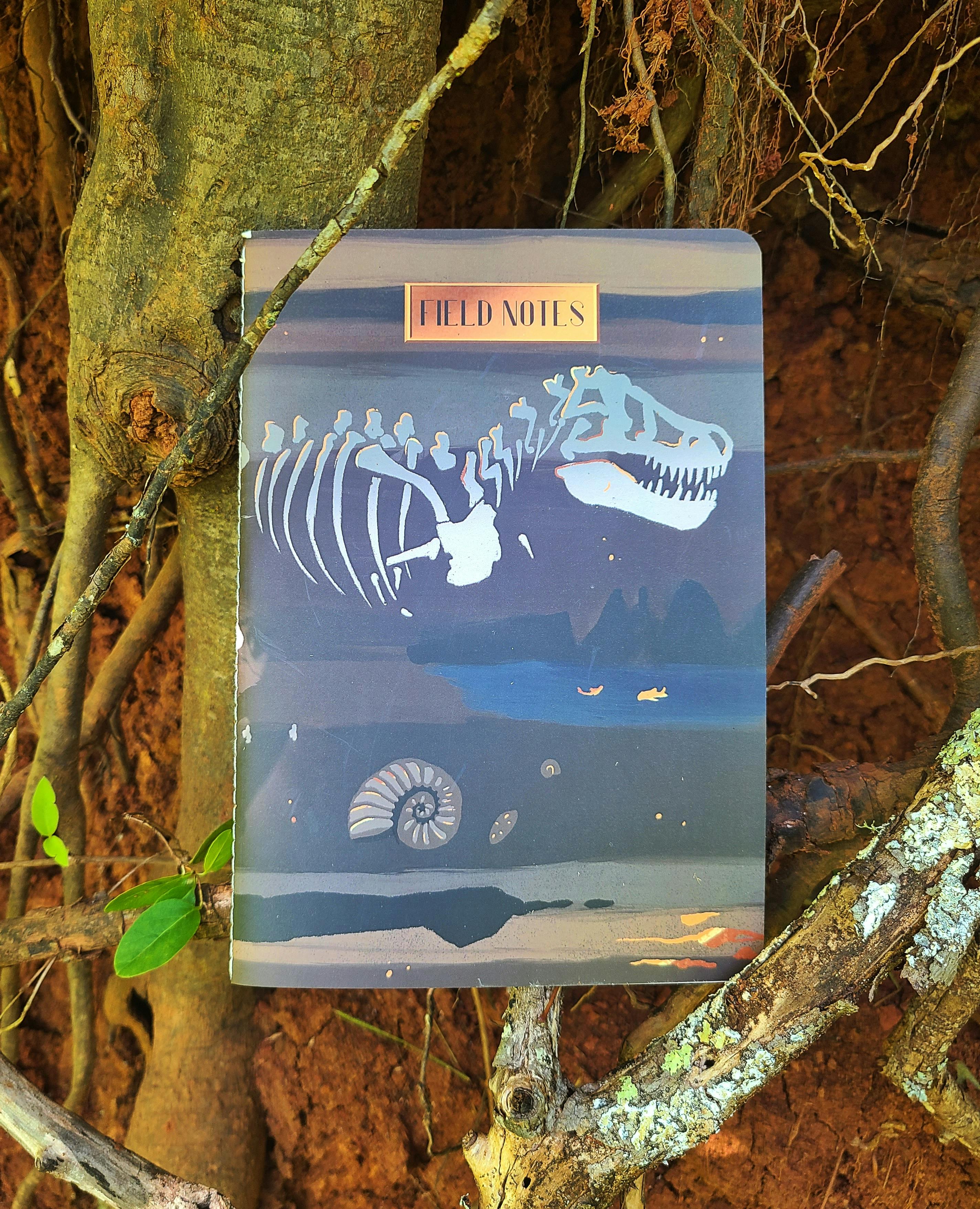 Fossil Notebook