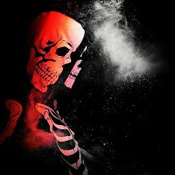 user avatar image for Shane Baxter