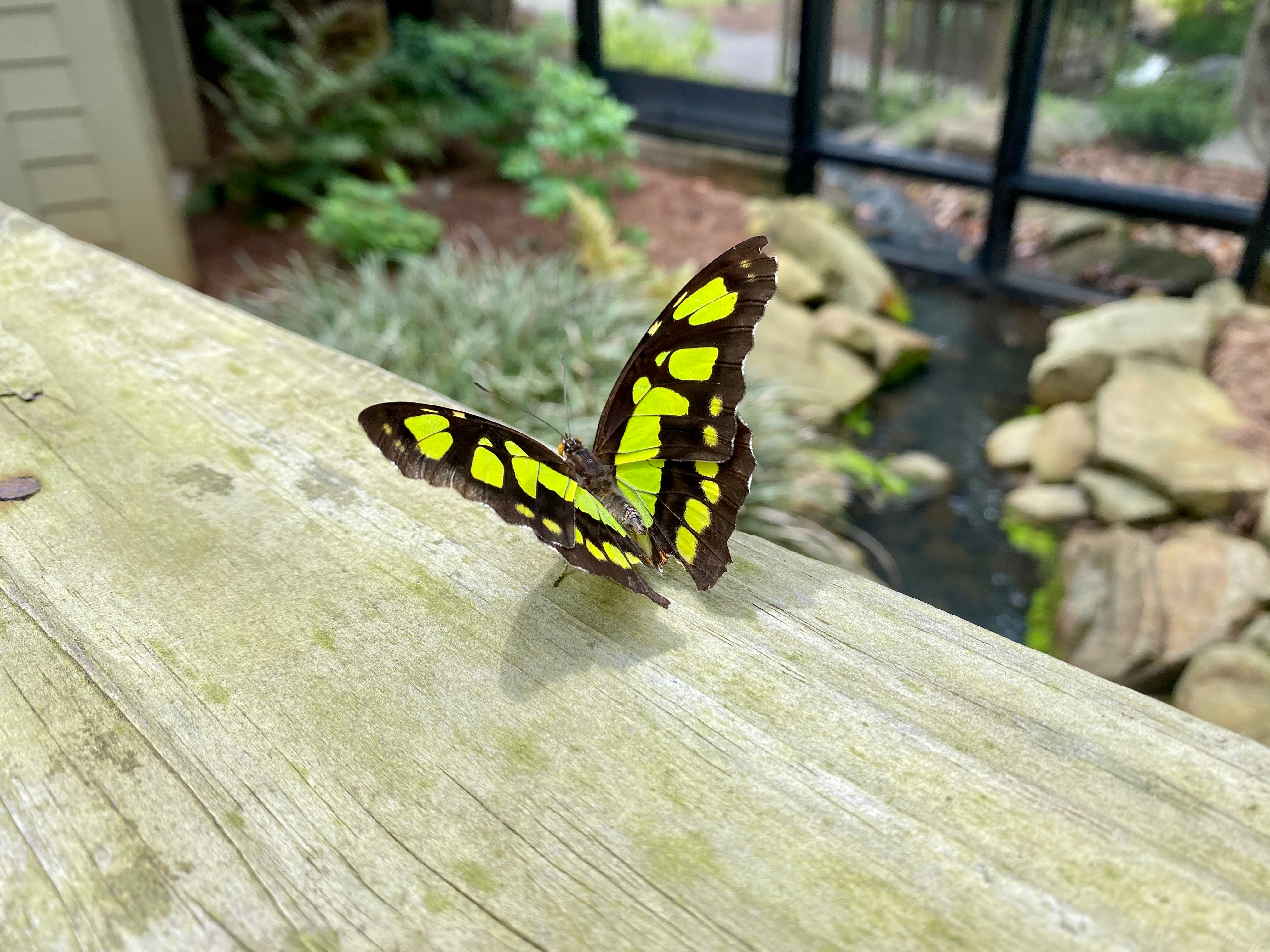 user avatar image for Amy W