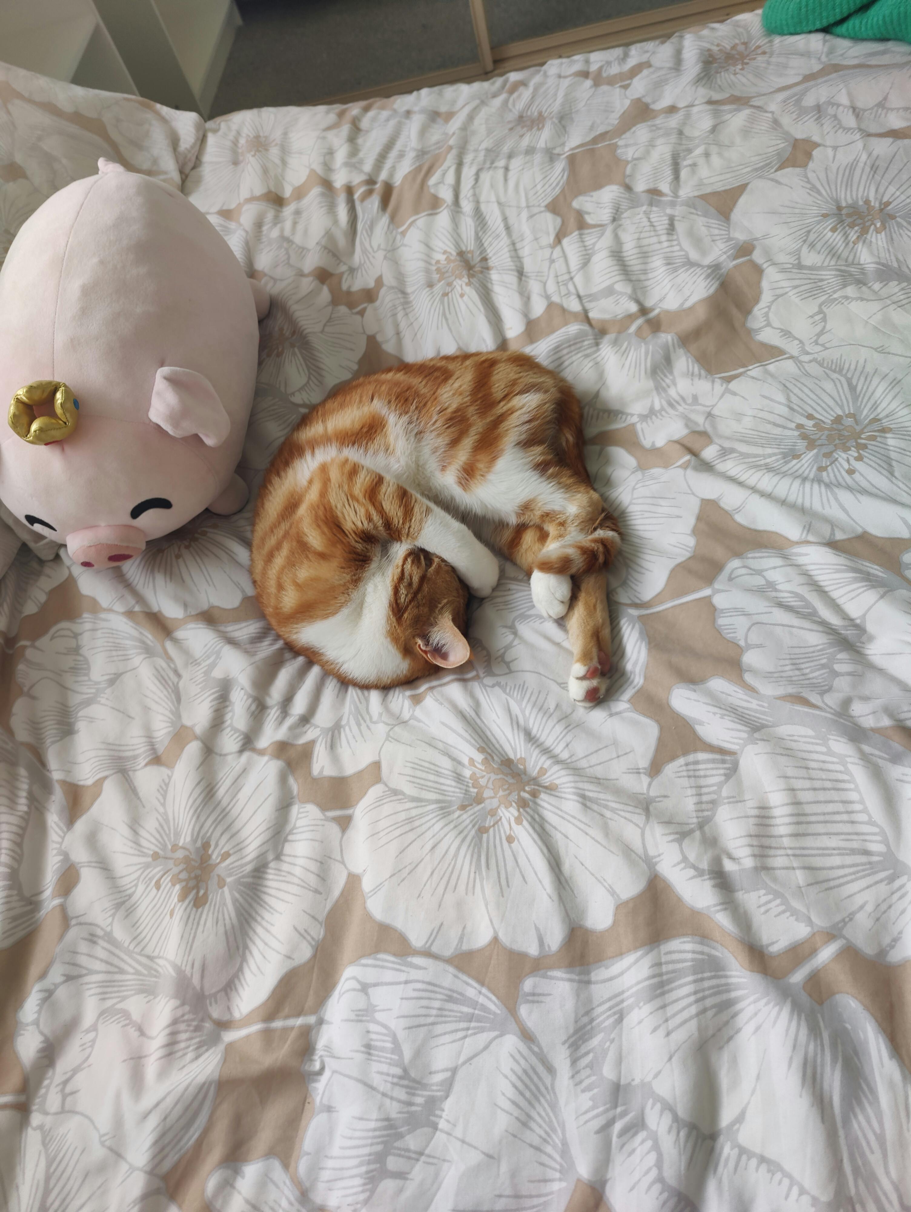 user avatar image for Mia