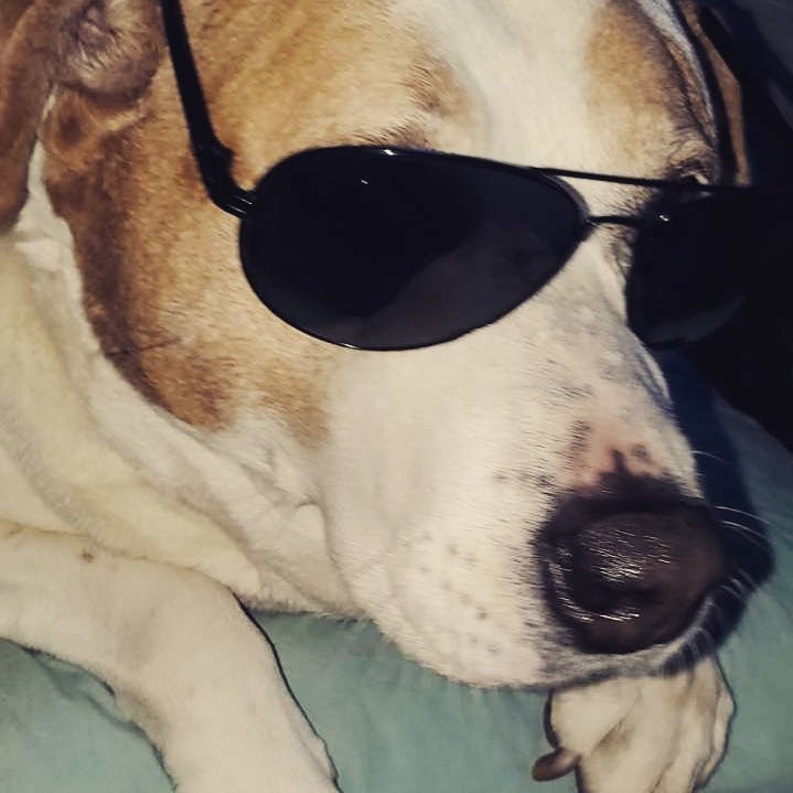 user avatar image for Bogusbladezz 