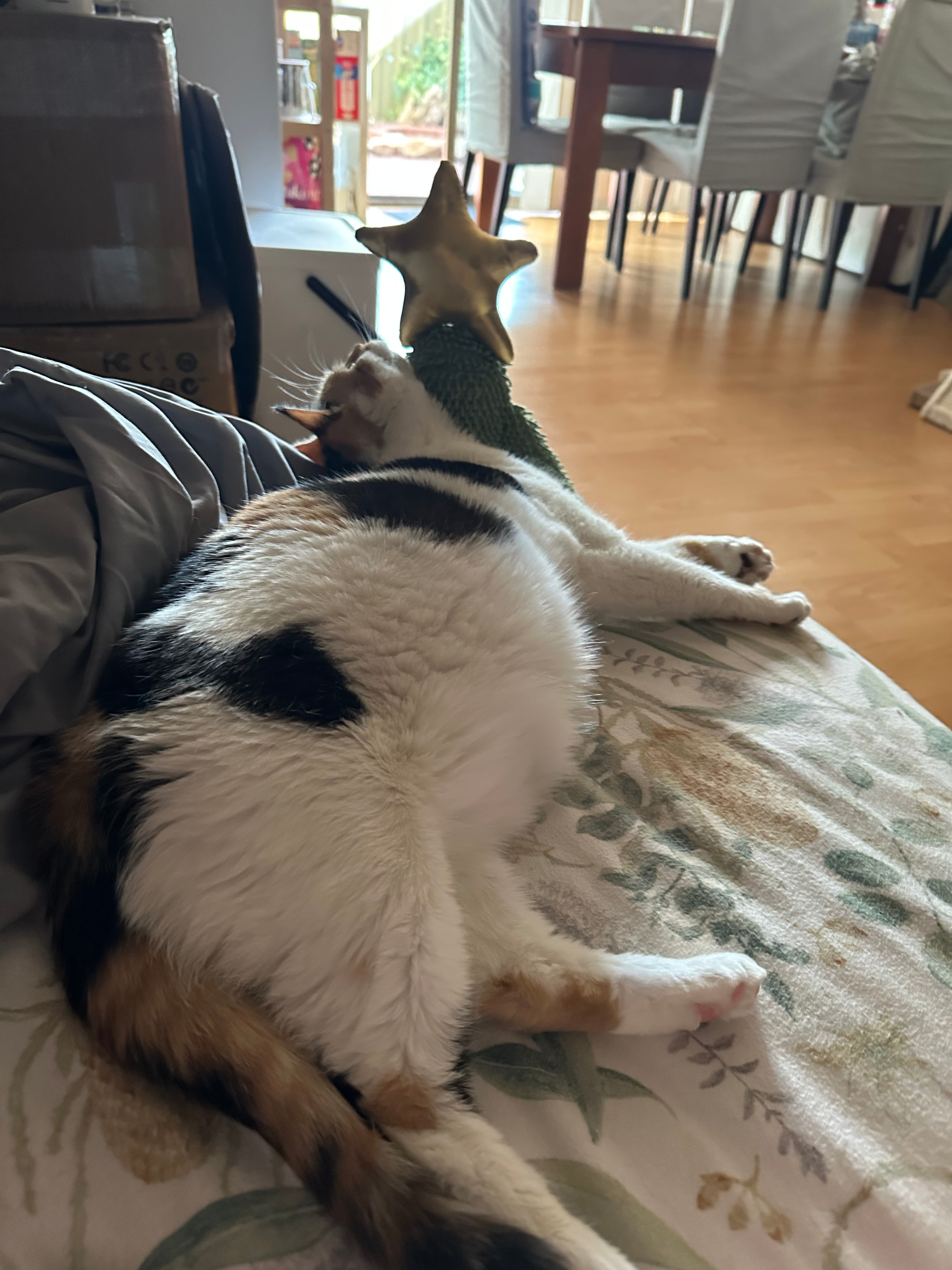 user avatar image for ThaHawka